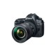 Hobbies