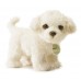 Sample Plush