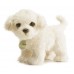 Sample Plush