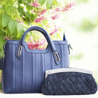 Ladies Hand Bag Ladies Hand Bag